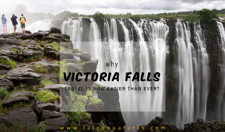 Victoria Falls Tours