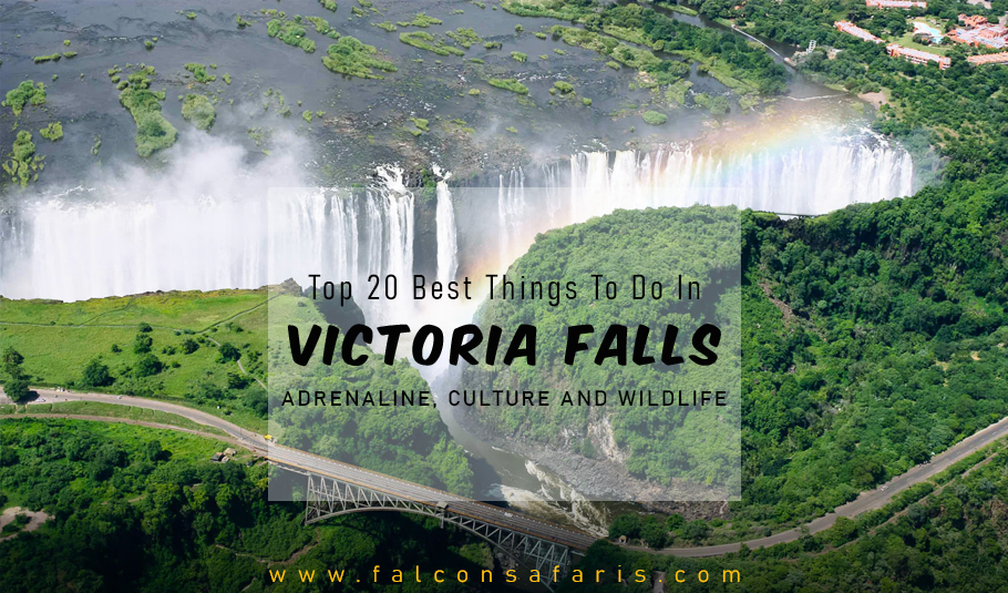 Things To Do In Victoria Falls