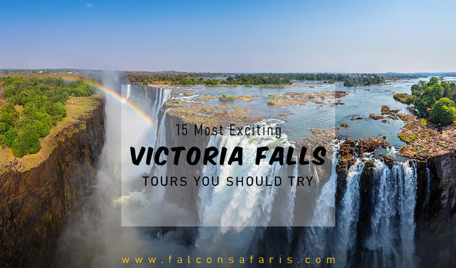 15 Most Exciting Victoria Falls Tours You Should Try