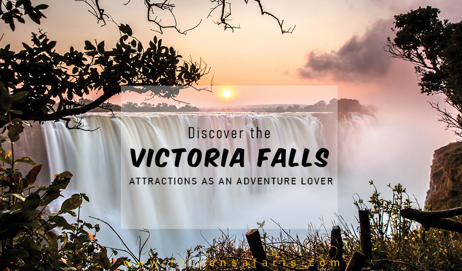 Discover the Victoria Falls Attractions as an Adventure Lover