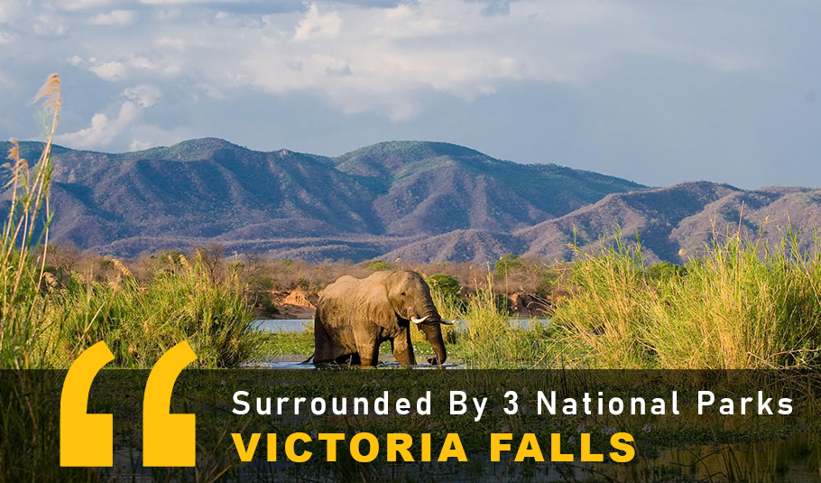 3 National Parks Victoria Falls 