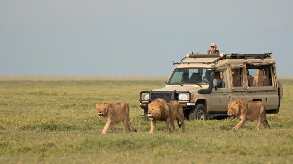 Best Time Visit In Botswana