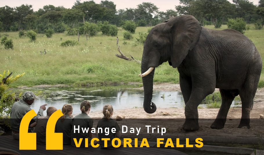 Victoria Falls Hwange Day Trip