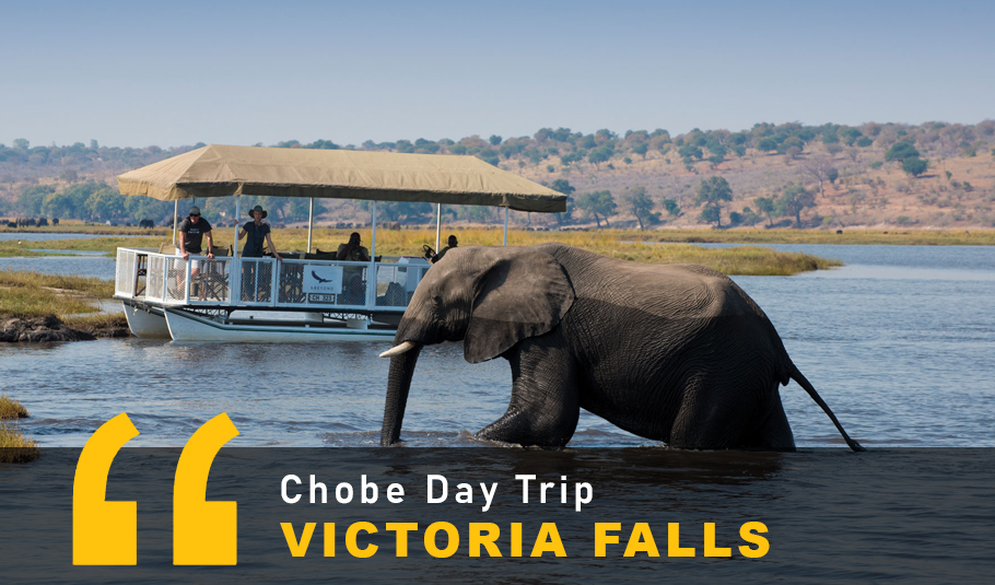 Victoria Falls Chobe Day  