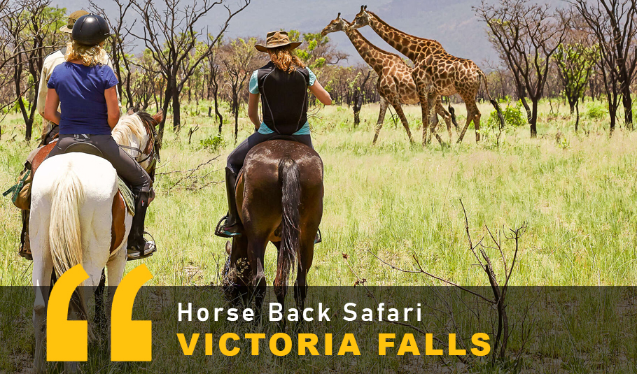 Victoria Falls Horse Back Safari 