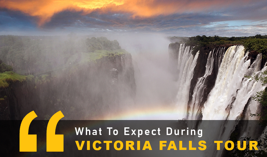 Tour To Victoria Falls 