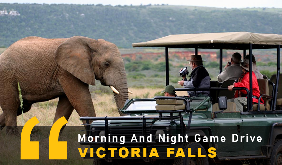Game Drive In Victoria Falls 