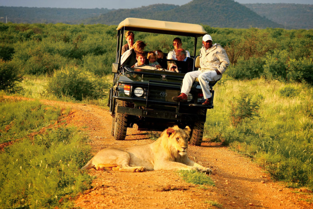 Okavango Delta Safari