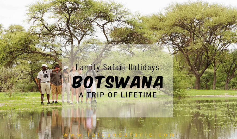 Botswana Family safari