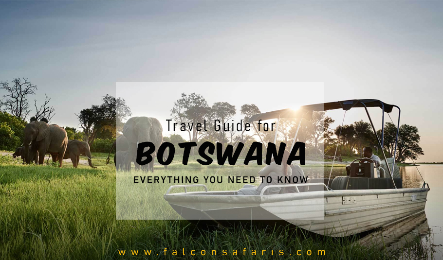 Travel Guide For Botswana Everything You Need To Know