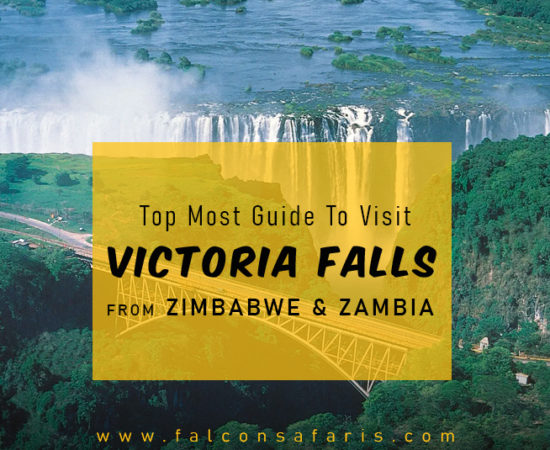Top Most Guide To Visit Victoria Falls From Zimbabwe & Zambia
