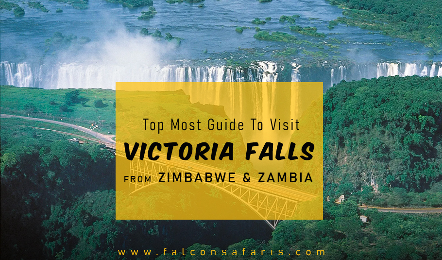 Top Most Guide To Visit Victoria Falls From Zimbabwe & Zambia