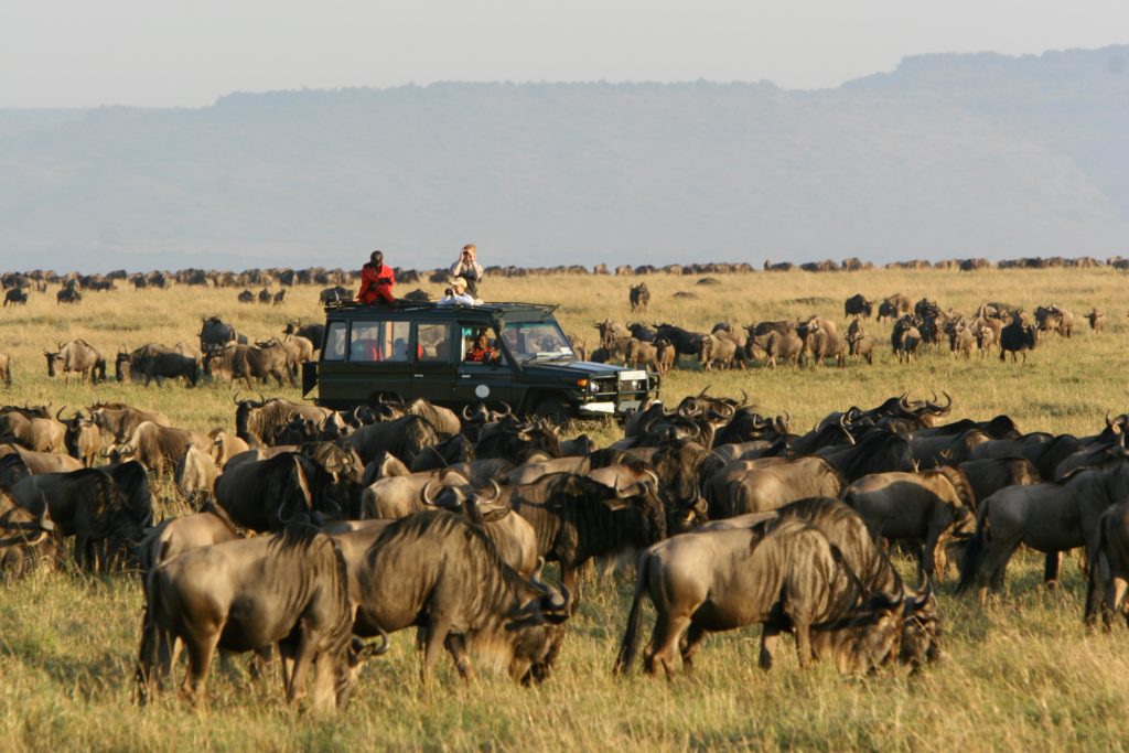 Makgadikgadi Pan National Park