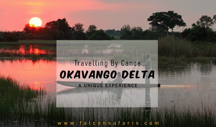 TRAVELLING BY CANOE - A UNIQUE EXPERIENCE DURING OKAVANGO DELTA SAFARI