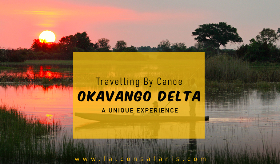 TRAVELLING BY CANOE - A UNIQUE EXPERIENCE DURING OKAVANGO DELTA SAFARI