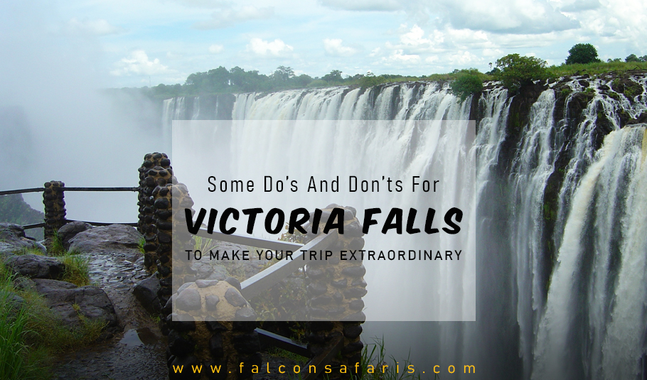 Trip To Victoria Falls 