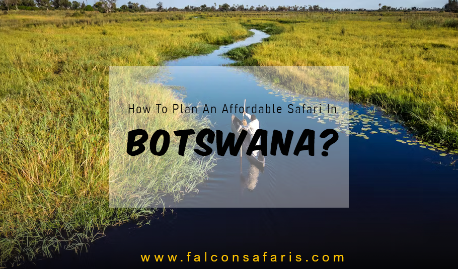 Botswana Safari