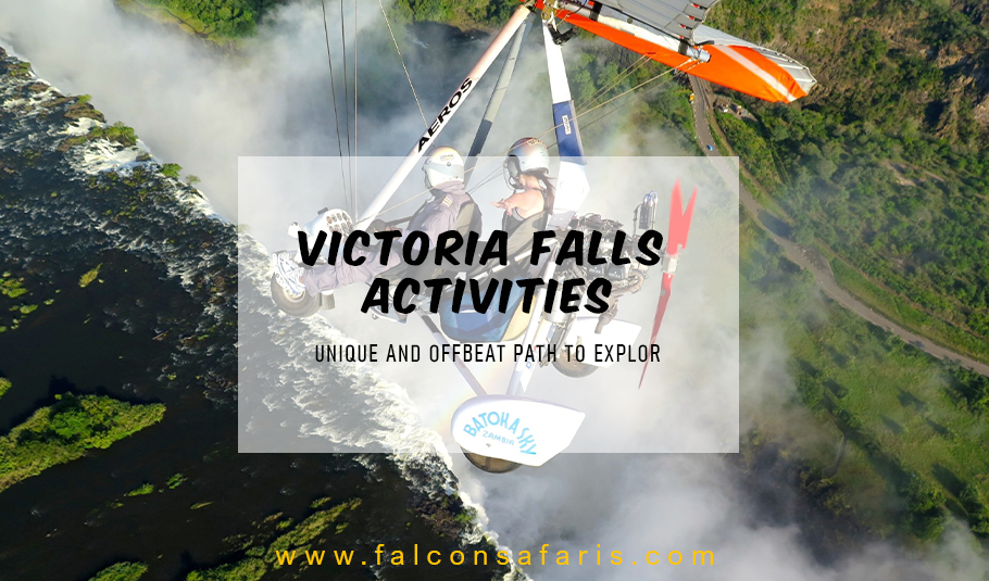 Victoria Falls Activities