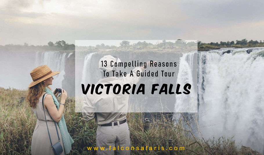 Victoria Falls Tours