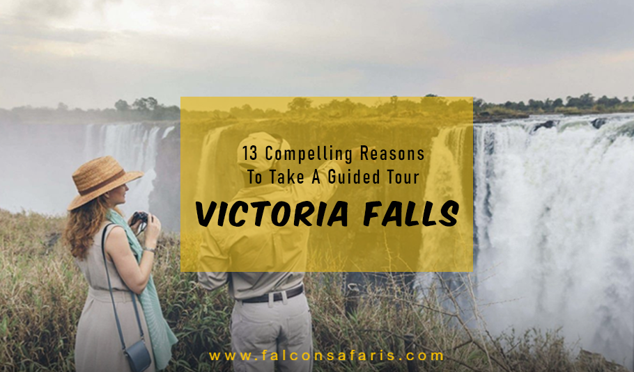 Guided Tours To Victoria Falls