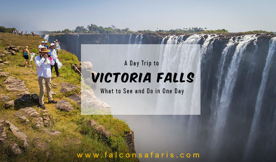 Victoria Falls Tour - A Day Trip to See and Do in One Day