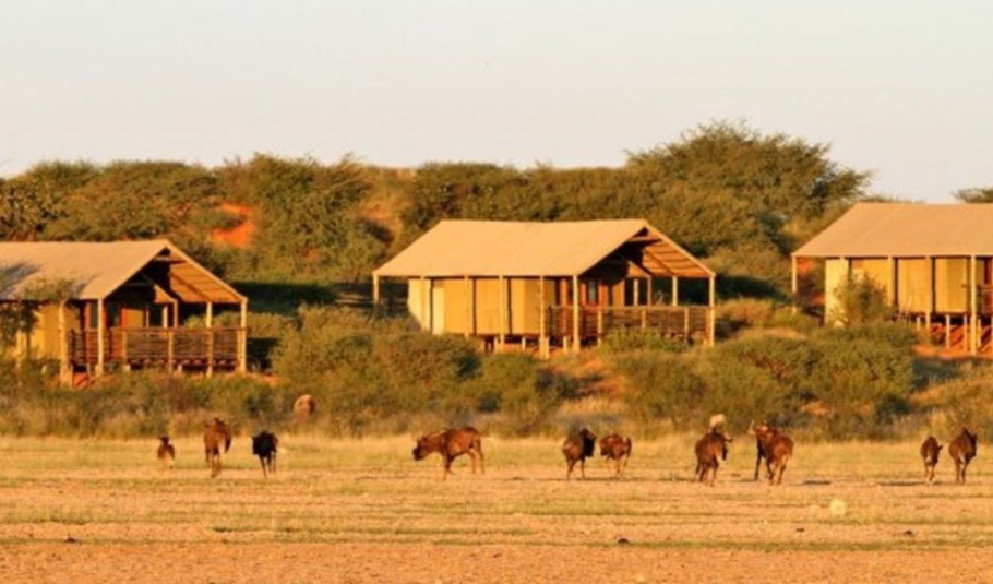 Activities To Do In Kalahari