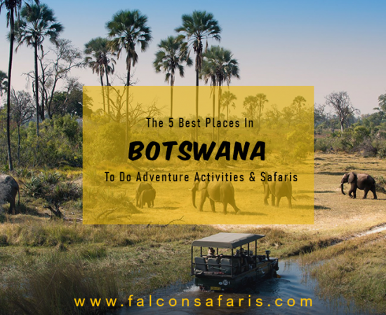 Botswana safari Tours