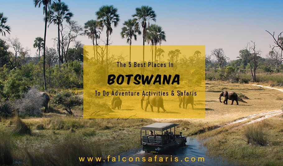 Botswana safari Tours