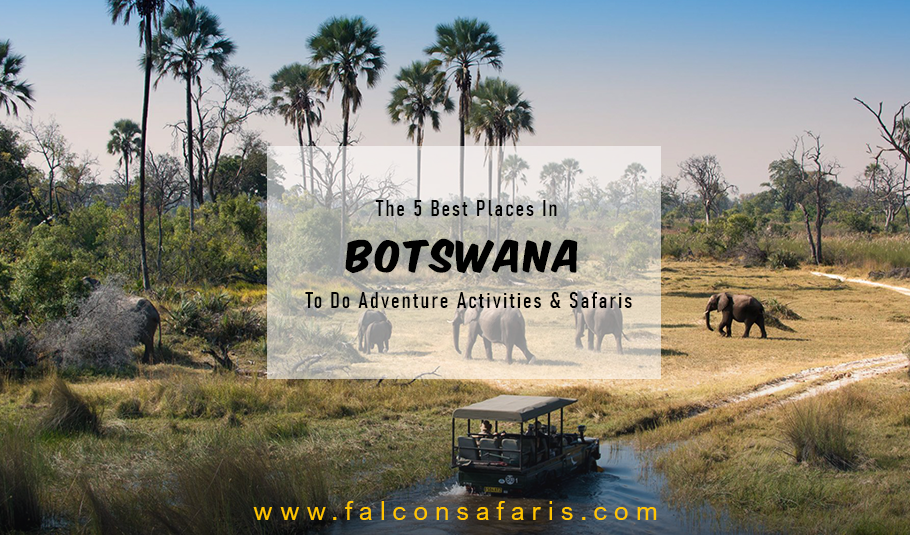 Botswana Safari Tours