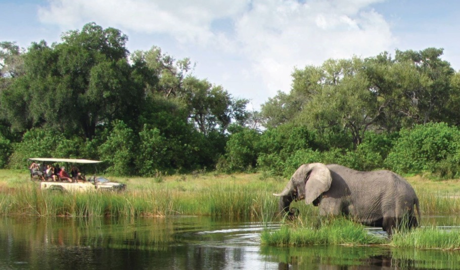 Botswana Safari Tours