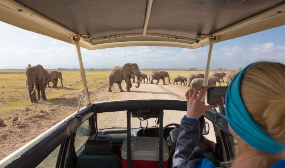 Botswana Self Drive Safari