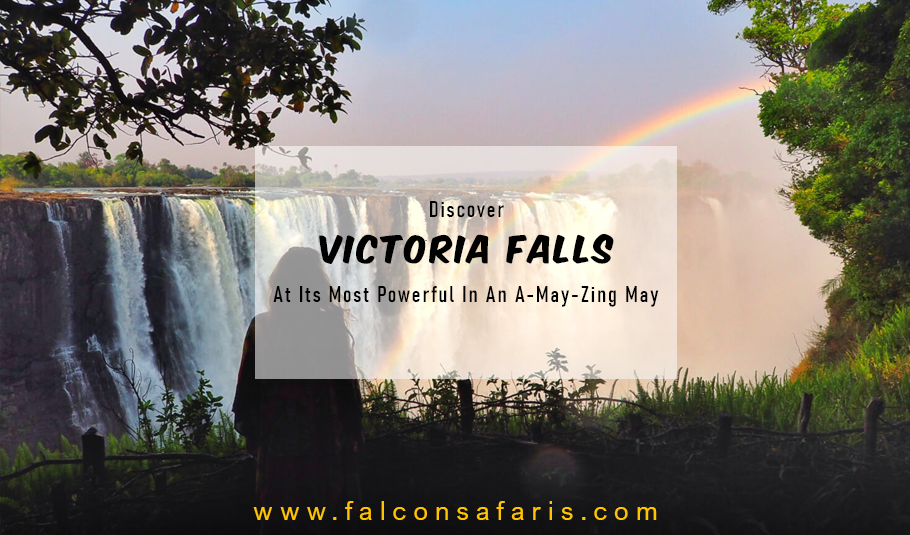 Best Time To Visit Victoria Falls