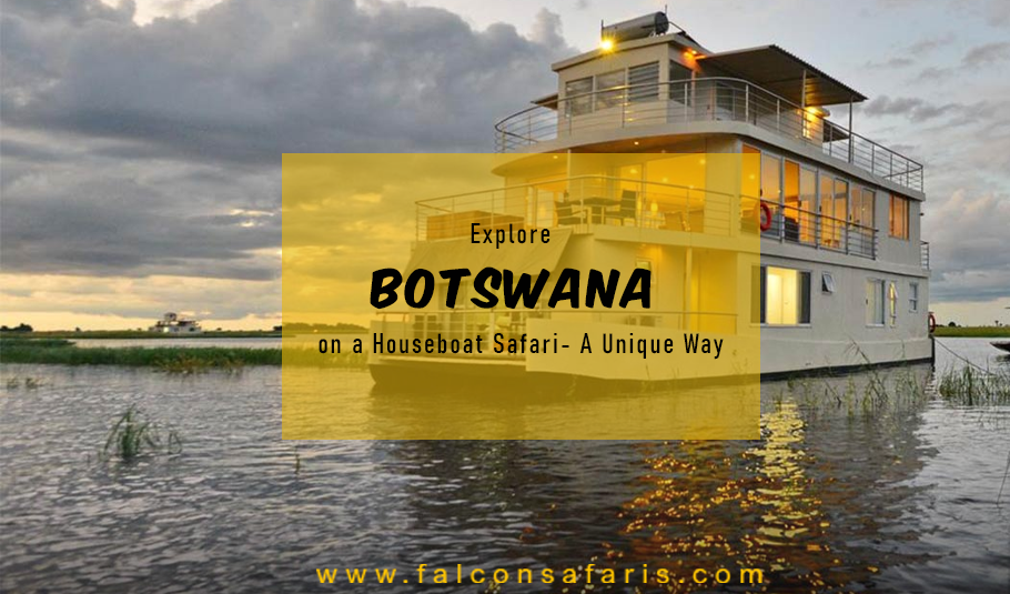 Botswana Houseboat Safari