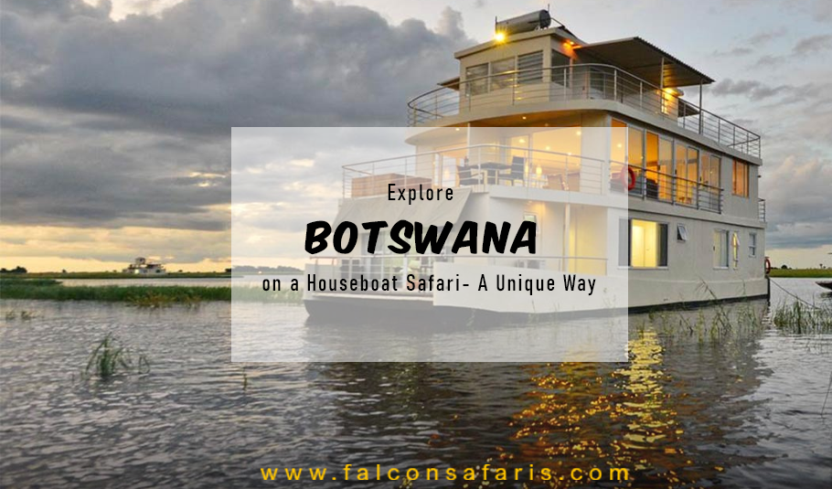 Botswana House Boat Safari