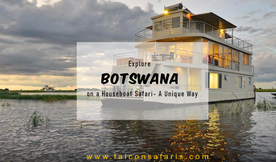 botswana houseboat safari