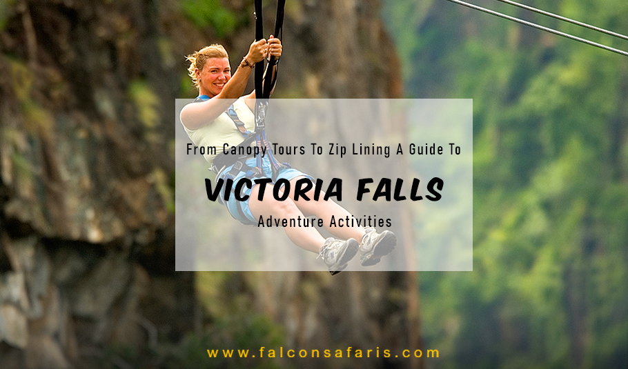 Victoria Falls Adventure Activities
