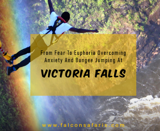 Victoria Falls Bungee Jumping