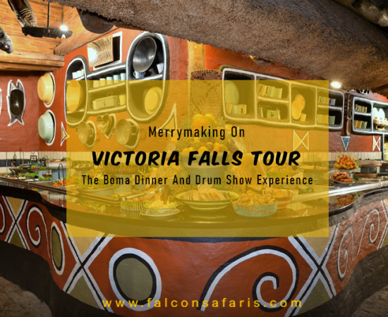 Victoria Falls Acvtivities