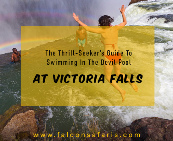 Devil’s Pool At Victoria Falls