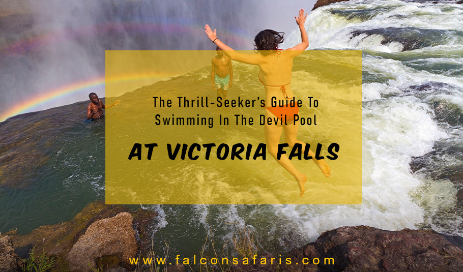Devil’s Pool AT Victoria Falls