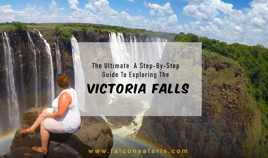 Victoria Falls Tours