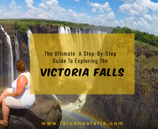 Victoria Falls Tour