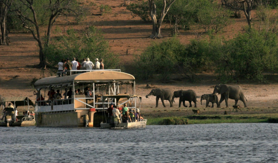 Victoria Falls Tours