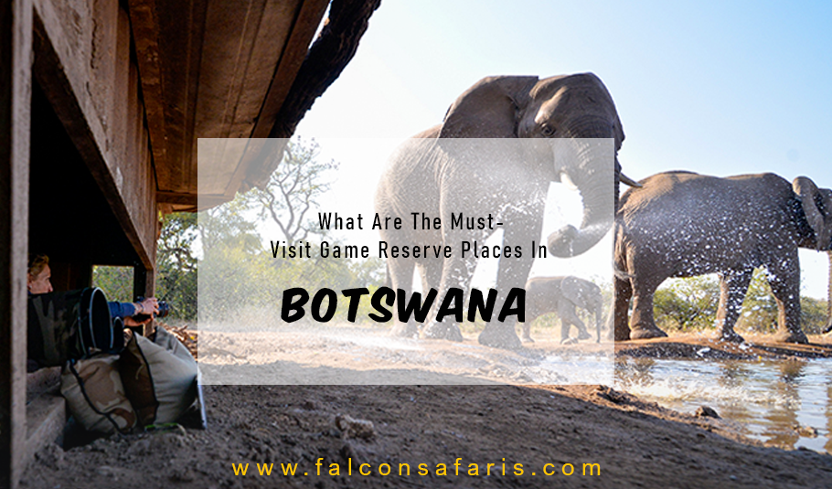 Botswana Safari