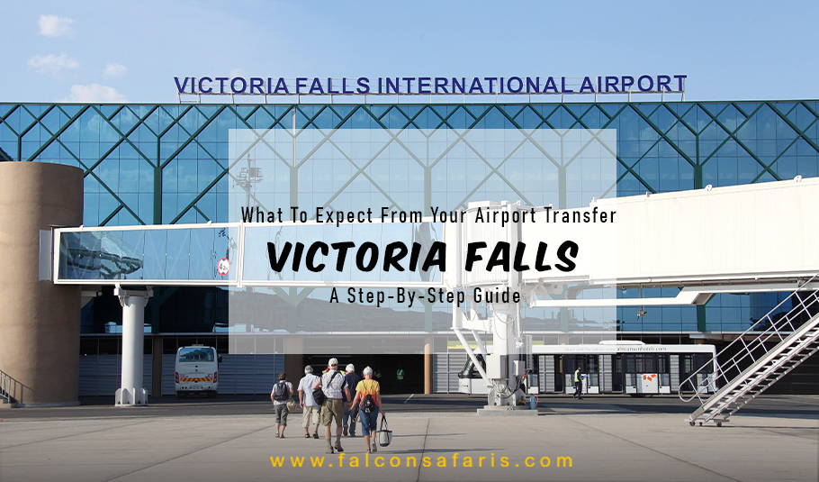 Victoria Falls Airport Transfer
