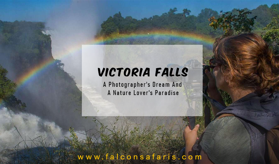 Victoria Falls Tour