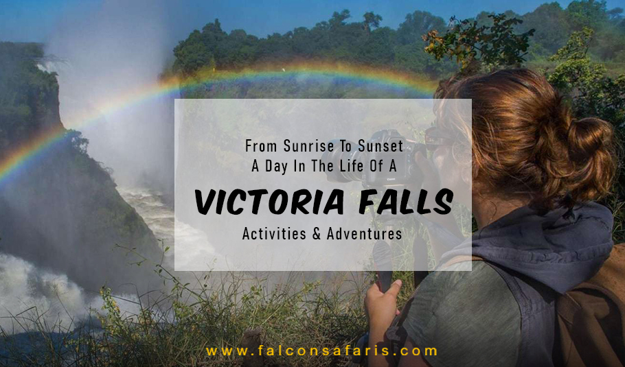 Victoria Falls Activities