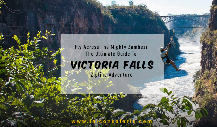 Victoria falls Zipline
