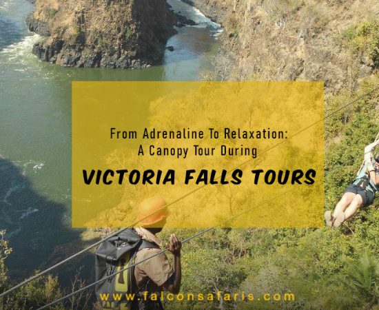Victoria Falls Tours
