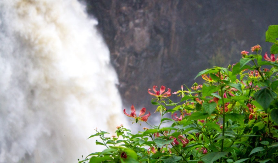 Victoria Falls during the Green Season